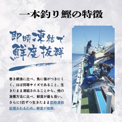 【お歳暮・のし付き】ふるさと納税 一本釣りかつおたたき(血合い抜き)1.2Kg　A3-123S【配送不可地域：離島】
