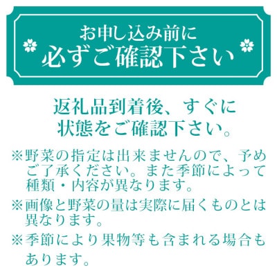 枕崎には野菜もある!!定番・旬のお試し野菜セット　Z0-27【配送不可地域：離島】