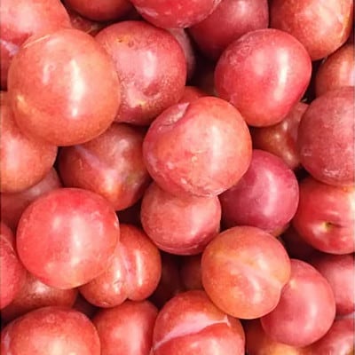 【のし付き・お歳暮】ふかざわ農園の梅すももシロップ　A3-28S【配送不可地域：離島】