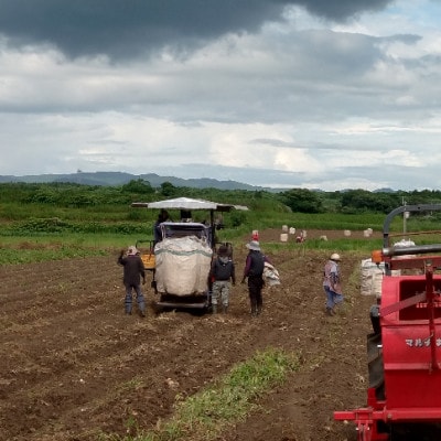 【本格焼酎】南之方【鹿児島限定】900ml×1本 X0-13【配送不可地域：離島】