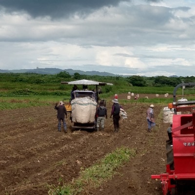 【本格焼酎】南之方【鹿児島限定】900ml×3本 A5-8【配送不可地域：離島】