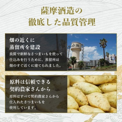 【本格焼酎】きばいやんせ【鹿児島限定】 900ml×2本 A2-12【配送不可地域：離島】