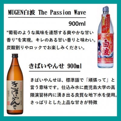 【本格焼酎】心地よい酔いごこち!地元酒屋セレクトの焼酎6銘柄【第2弾】 C0-77【配送不可地域：離島】