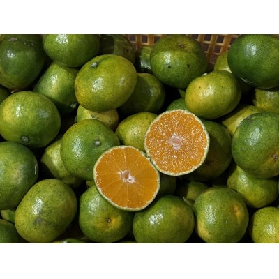 南国グアバとすっきり柑橘の爽やかカクテルシロップ 【グアバ柑橘シロップ】 A3-385【配送不可地域：離島】