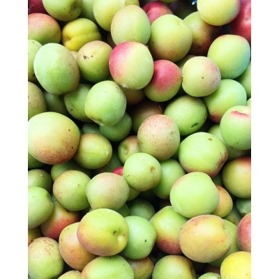 まるで果実!!南薩摩の果汁たっぷりゼリー6個箱入り Z0-59【配送不可地域：離島】