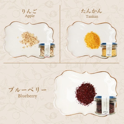 【毎月定期便】ドライフルーツソルト3種セット【りんご・たんかん・ブルーベリー】DD0-0004全3回【配送不可地域：離島】