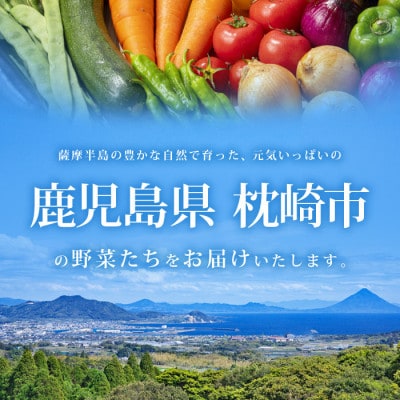 【発送月固定定期便】枕崎の野菜!!定番・旬の野菜お任せセット(5・11・2月)DD0-0008全3回【配送不可地域：離島】