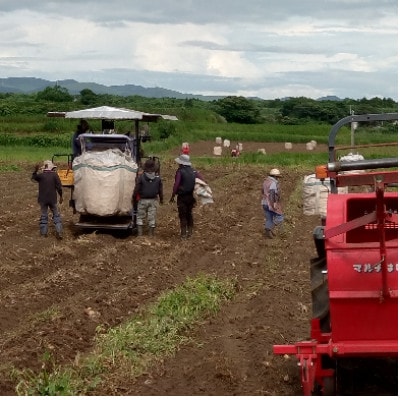 【2ヵ月毎定期便】【さつま白波】25度(1800ml)6パックセット JJ15-0006 全4回【配送不可地域：離島】