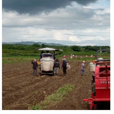 【毎月定期便】薩摩酒造の定番【さつま白波＆黒白波】1800ml×2本セット DD0-0024 全3回【配送不可地域：離島】