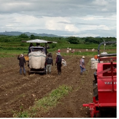 【毎月定期便】薩摩酒造の定番【さつま白波＆黒白波】1800ml×2本セット HH0-0007 全6回【配送不可地域：離島】