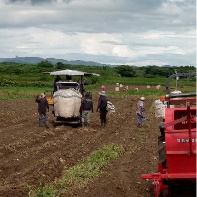 【毎月定期便】【さつま白波】25度(1800ml)6パックセット GG5-0013 全2回【配送不可地域：離島】