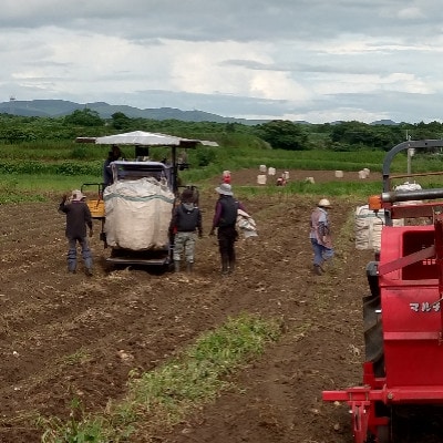 【毎月定期便】薩摩酒造の定番・限定【さつま白波・南之方】1.8L×2本セット PP-0005 全2回【配送不可地域：離島】