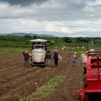 【毎月定期便】鹿児島限定の焼酎【南之方】900ml×3本セット PP-0006 全2回【配送不可地域：離島】