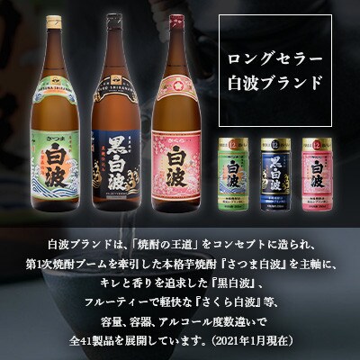 【毎月定期便】【さつま白波】25度【900ml】×3パック セット BB5-0005全2回【配送不可地域：離島】