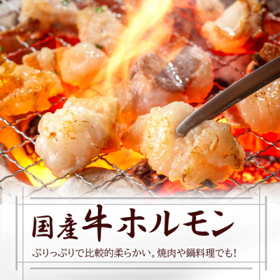 鹿児島県産国産牛もつセット7人前 A3-114【配送不可地域：離島】