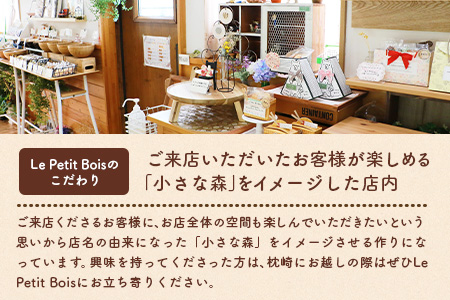 【プリン】Le Petit Bois(ル・プティ・ボア) 10個  A6-1【配送不可地域：離島】