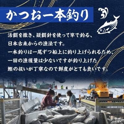 【訳あり】枕崎からの贈り物 かつおの腹皮【合計3Kg(12～16パック)】 A3-47【配送不可地域：離島】