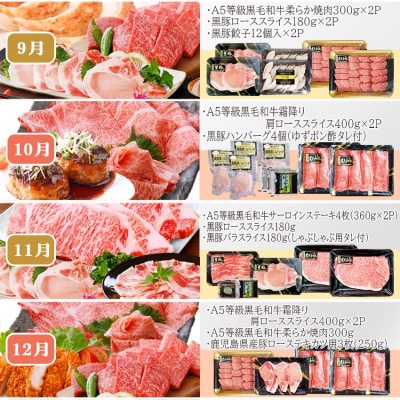 お肉の定期便(12回)枕崎お楽しみ便(A5等級黒毛和牛・黒豚・黒豚加工品etc) KK-6003【配送不可地域：離島】
