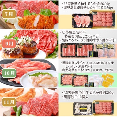 定期便(1年で10回配送)お楽しみ便(A5等級黒毛和牛・黒豚)HH-6004【配送不可地域：離島】
