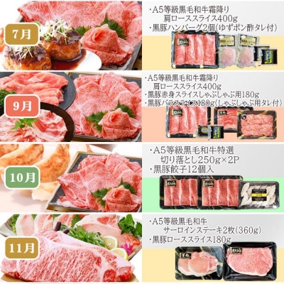 定期便(1年で10回配送)枕崎お楽しみ便(A5等級黒毛和牛・黒豚・黒豚加工品etc) II-6002【配送不可地域：離島】