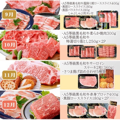定期便(12回配送)枕崎お楽しみ便(A5等級黒毛和牛・黒豚・黒豚加工品・さつまあげ等)JJ-6003【配送不可地域：離島】