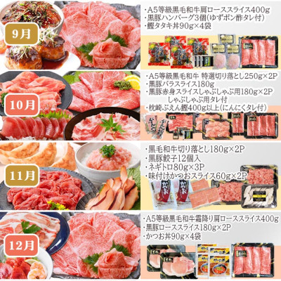 定期便(12回配送)お楽しみ便(A5等級黒毛和牛・黒豚・かつお・まぐろ・さつまあげ等)JJ-6002【配送不可地域：離島】
