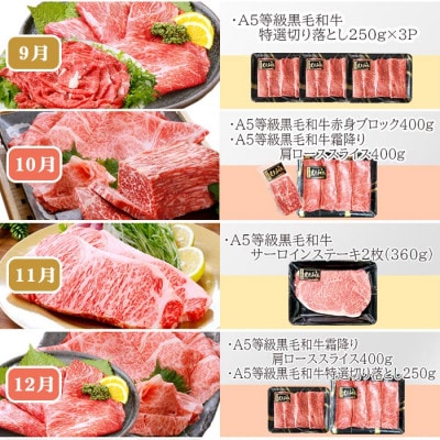 定期便(12回)鹿児島県産A5等級黒毛和牛三昧 JJ-0017【配送不可地域：離島】