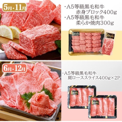 定期便(6回配送)A5等級鹿児島県産黒毛和牛三昧 II-0016【配送不可地域：離島】