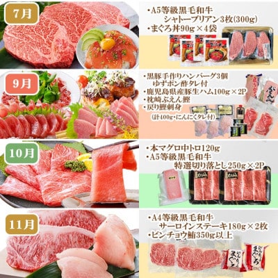 定期便(10回)枕崎お楽しみ便(黒毛和牛・黒豚・まぐろ・かつお・さつまあげ等)II-0025【配送不可地域：離島】