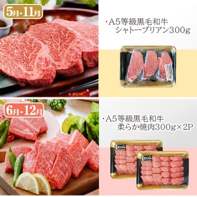 定期便(6回)鹿児島県産A5等級黒毛和牛シャトーブリアン・サーロインステーキetc　HH-6001【配送不可地域：離島】