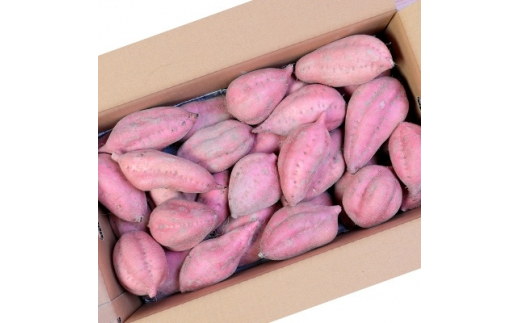 本場鹿児島さつまいも 【安納蜜】6kg　2025年10月より発送A3-55【配送不可地域：離島】