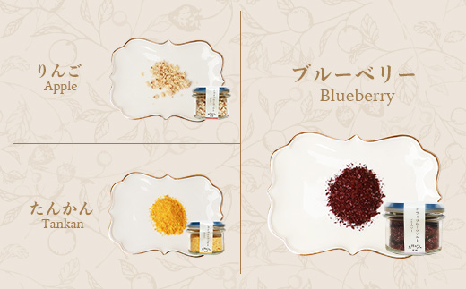 ドライフルーツソルト 3種セット【りんご・たんかん・ブルーベリー】果実塩 fラボ A6-78【配送不可地域：離島】