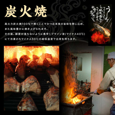 一本釣りゆず香り焼きタタキ800g(タレ付き) A0-23【配送不可地域：離島】