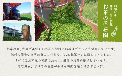 【お歳暮・のし付き】お茶の厚石園の特選深蒸しセット【極上・特上 計3パック】緑茶 B3-30S【配送不可地域：離島】