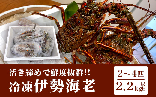 枕崎港水揚げ!　活〆冷凍 【伊勢海老】 2～4匹 計約2.2kg E0-14【配送不可地域：離島】