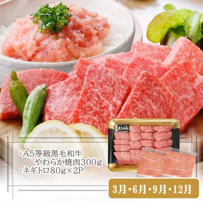 定期便【3回配送】枕崎お楽しみ便(A5黒毛和牛・豚ロース・黒豚ハンバーグ・かつお丼)LL-6037【配送不可地域：離島】