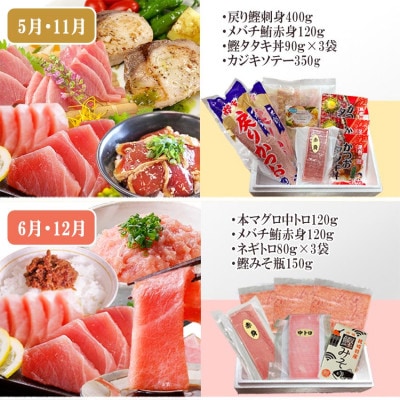 枕崎・お魚よりどり詰め合わせ定期便(6回配送)　FF-6005【配送不可地域：離島】