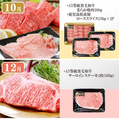 1年で6回配送　お楽しみグルメ定期便　FF-6006【配送不可地域：離島】