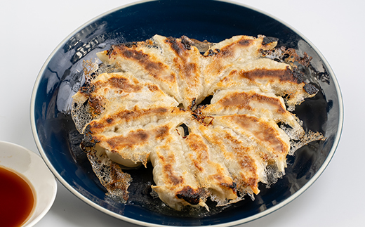 かご豚餃子5袋セット【計60個】 A3-335【配送不可地域：離島】