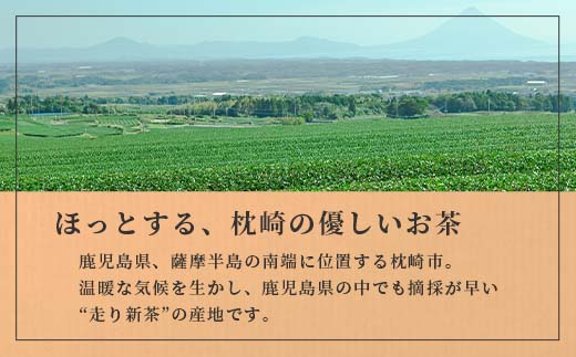 【のし付き・お中元】ほっこり煎茶 100g×3袋　A5-1C【配送不可地域：離島】