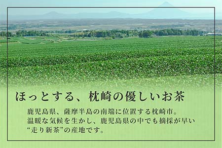 【のし付き・お中元】「天然玉露あさつゆ」緑茶ティーバッグ　水出し・お湯両用タイプ　A8-86C【配送不可地域：離島】