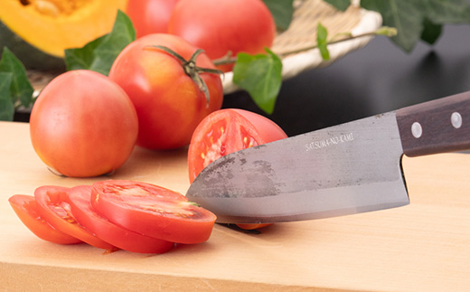 薩摩守(剣型)17cm　E5-2【配送不可地域：離島・沖縄県】