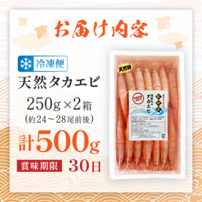 【薩摩の甘エビ】大きいサイズ　天然タカエビ500g　A1-10【配送不可地域：離島】
