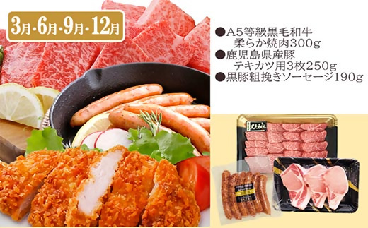 定期便(3回配送)黒毛和牛・黒豚＆薩摩の甘エビ　DD5-0002【配送不可地域：離島】