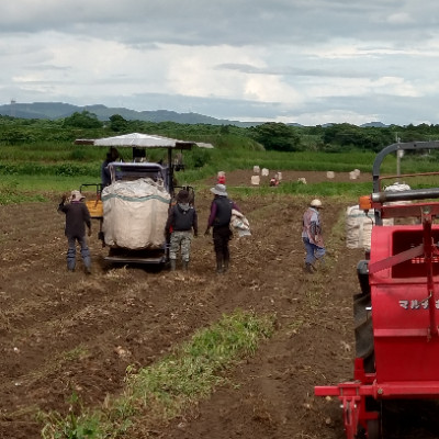 【本格焼酎】南之方【鹿児島限定】1800ml×3本　B5-10【配送不可地域：離島】