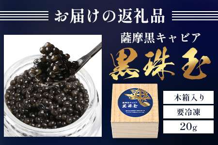 【数量限定】薩摩黒キャビア黒珠玉 鹿児島水産高校 枕崎キャビア【木箱入り】【20g×1箱】 C3-2【配送不可地域：離島】