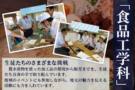 水産高校生考案　枕崎かつおラーメン2人前×4袋　和風しお味　液体スープ付　コンパクトサイズW0-11