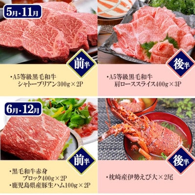 プレミアム定期便　枕崎産天然伊勢海老　鹿児島県産　黒毛和牛・黒豚　海の幸　24回配送 EX-0001【配送不可地域：離島】