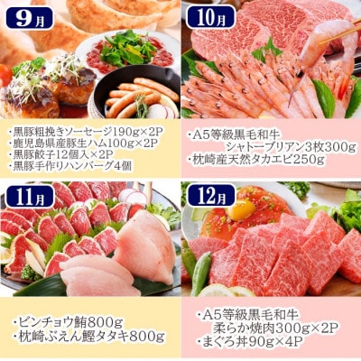 豪華定期便 12回配送　枕崎産伊勢海老　鹿児島県産黒毛和牛　黒豚 LL40-0001【配送不可地域：離島】