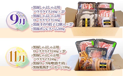 【発送月固定定期便】鹿児島県産黒豚三昧Bセット GG5-0001全6回【配送不可地域：離島】